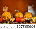 Pumpkin decorations for Halloween, a cat with blue eyes sitting on a pumpkin with carved funny glowing face 107565906