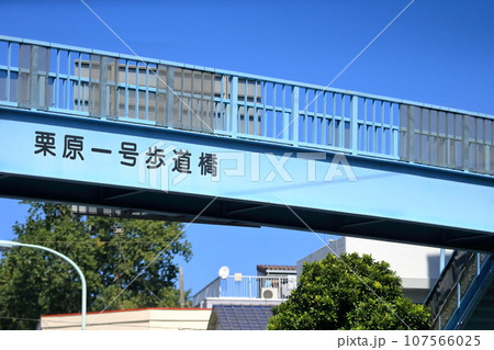 横断歩道橋 横断歩道橋 107566025