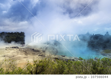 ニュージーランド・テプイア、ブループール＆ポフツガイザー間欠泉 / Te Puia, Rotorua 107566044