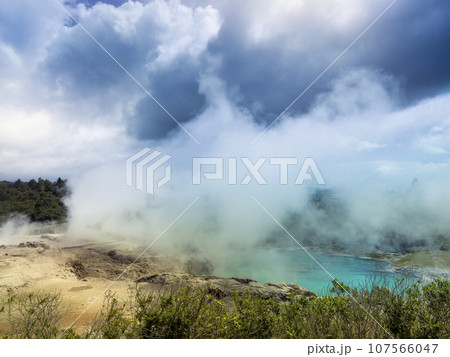 ニュージーランド・テプイア、ブループール＆ポフツガイザー間欠泉 / Te Puia, Rotorua 107566047