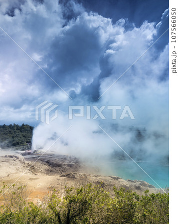 ニュージーランド・テプイア、ブループール＆ポフツガイザー間欠泉 / Te Puia, Rotorua 107566050