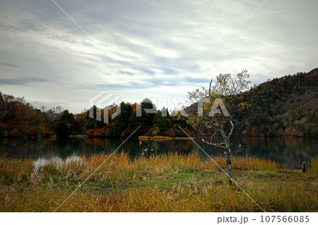 日本の美しい風景 日光への旅 湯ノ湖の紅葉の景色 日本の美しい風景 日光への旅 湯ノ湖の紅葉の景色 107566085