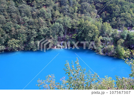 クロアチアの世界自然遺産プリトヴィッツェ湖群国立公園　下湖群高台より見下ろす湖面の鮮やかなブルー 107567307