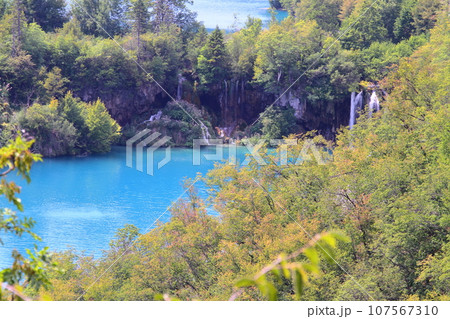クロアチアの世界自然遺産プリトヴィッツェ湖群国立公園 下湖群高台より見下ろす湖面の鮮やかなブルー クロアチアの世界自然遺産プリトヴィッツェ湖群国立公園 下湖群高台より見下ろす湖面の鮮やかなブルー 107567310
