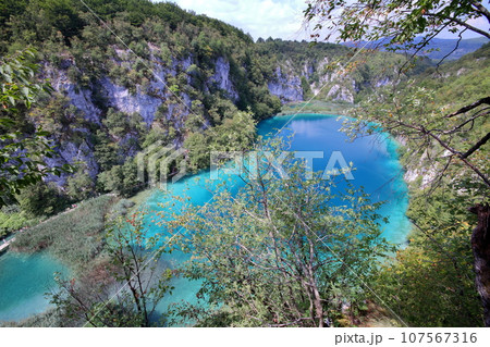 クロアチアの世界自然遺産プリトヴィッツェ湖群国立公園　下湖群高台より見下ろす湖面の鮮やかなブルー 107567316