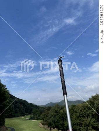 夏の終わりを感じるゴルフ場のとんぼ 107568170