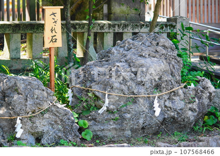 大分県護國神社のさざれ石 大分県護國神社のさざれ石 107568466