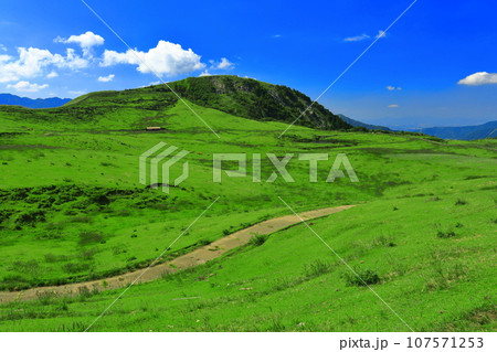【熊本県】南阿蘇パノラマラインから見える牧場（阿蘇山） 107571253