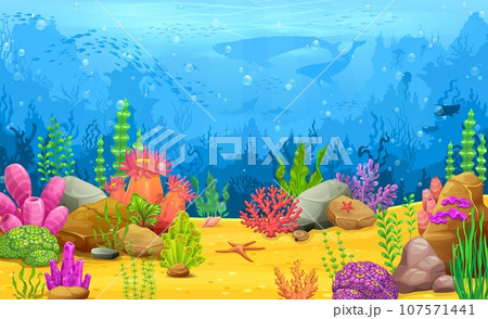 Cartoon underwater landscape, arcade game level map. Ocean animal and plant scene, ocean deep wildlife vector backdrop with coral and seaweed plants, whale, dolphin and fish shoal silhouettes Cartoon underwater landscape, arcade game level map. Ocean animal and plant scene, ocean deep wildlife vector backdrop with coral and seaweed plants, whale, dolphin and fish shoal silhouettes 107571441
