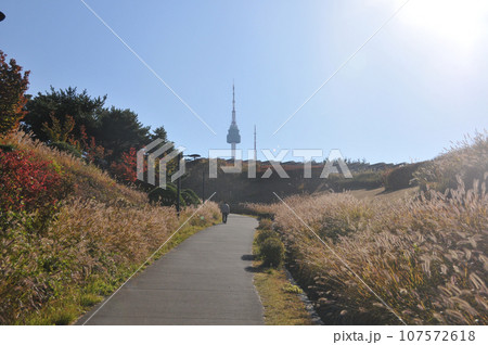 N Seoul tower in Namson Park Mountain in the morning with various trees foliage in Autumn. There is one man walks on the road. N Seoul tower in Namson Park Mountain in the morning with various trees foliage in Autumn. There is one man walks on the road. 107572618