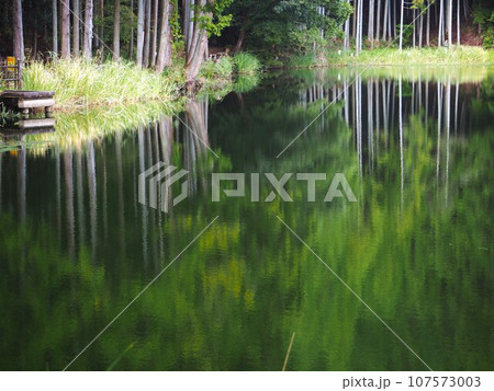 奈良県　龍王ケ淵　初秋 107573003