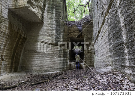 石切り場から覗く森 107573933