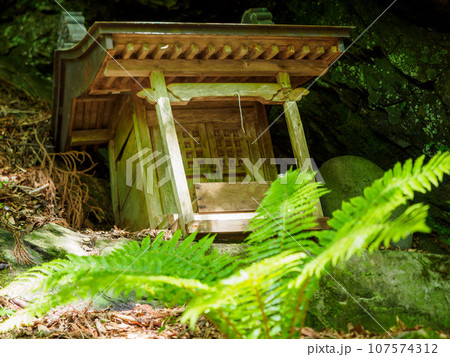 山奥の小さな祠 107574312