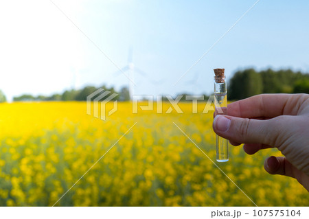 Hand holding test tube with liquid on background of canola flowers field blooming farm. Rapeseed oil over natural background. Farmer soil sample in tube chemical analysis ph test. Agrochemical Hand holding test tube with liquid on background of canola flowers field blooming farm. Rapeseed oil over natural background. Farmer soil sample in tube chemical analysis ph test. Agrochemical 107575104