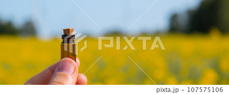 Hand holding test tube with liquid on background of canola flowers field blooming farm. Rapeseed oil over natural background. Farmer soil sample in tube chemical analysis ph test. Agrochemical Hand holding test tube with liquid on background of canola flowers field blooming farm. Rapeseed oil over natural background. Farmer soil sample in tube chemical analysis ph test. Agrochemical 107575106