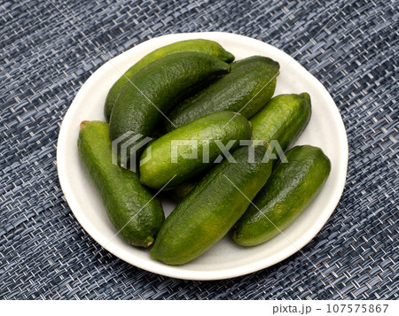 フィンガーライム 107575867