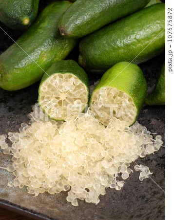 フィンガーライム 107575872