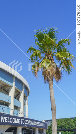 【千葉県】ZOZOマリンスタジアム 107576010