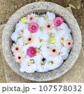 水に浮かぶ花 107578032
