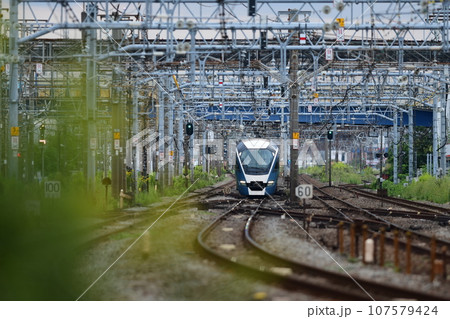 東海道線 鎌倉(客貨)踏切 東海道線 鎌倉(客貨)踏切 107579424