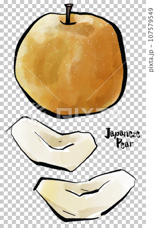 Hand-drawn pear illustration (brush-drawn watercolor sumi-e style) 107579549