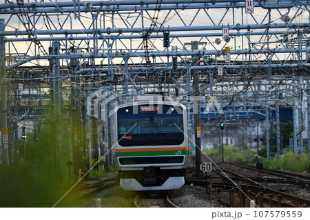 東海道線　鎌倉（客貨）踏切 107579559