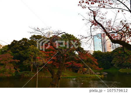 紅葉に包まれる秋の庭園 107579612
