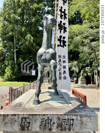 相馬中村神社の御神馬 相馬中村神社の御神馬 107580033