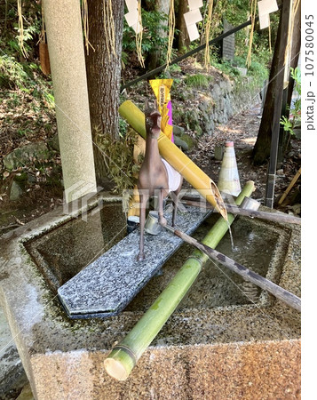 相馬中村神社の手水舎 107580045