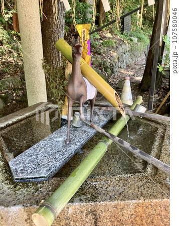 相馬中村神社の手水舎 107580046