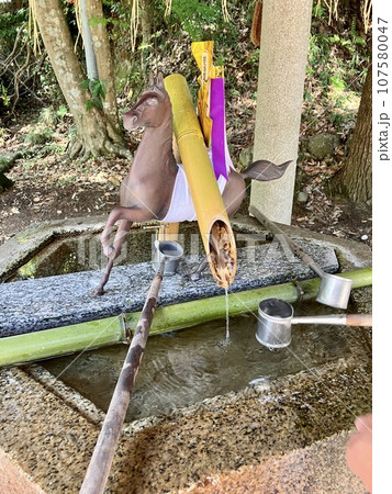 相馬中村神社の手水舎 相馬中村神社の手水舎 107580047