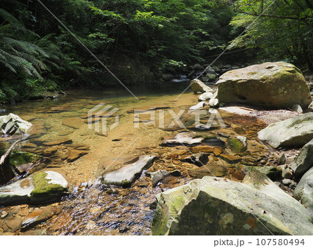 森の中を流れる比地川渓流（沖縄県国頭郡国頭村・比地大滝） 107580494