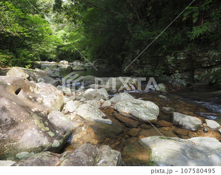 比地川渓流の風景（沖縄県国頭郡国頭村・比地大滝） 107580495