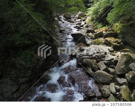 比地川渓流の風景（沖縄県国頭郡国頭村・比地大滝）8 107580506