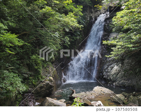 比地大滝の風景（沖縄県国頭郡国頭村・比地大滝） 107580508