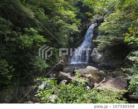 比地大滝の風景（沖縄県国頭郡国頭村・比地大滝）2 107580509