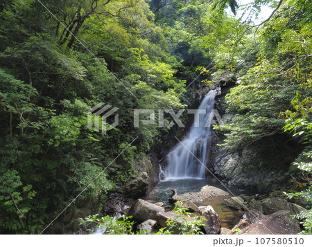 比地大滝の風景（沖縄県国頭郡国頭村・比地大滝）3 107580510