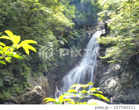 比地大滝の風景（沖縄県国頭郡国頭村・比地大滝）4 107580511