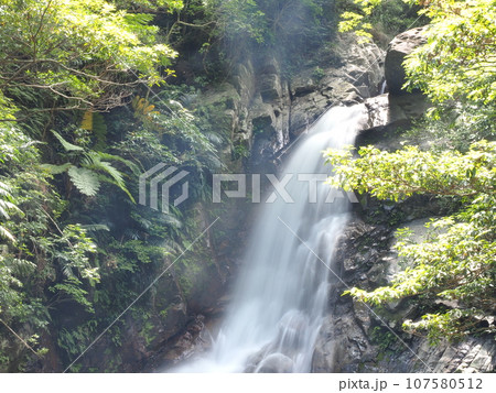 比地大滝の風景（沖縄県国頭郡国頭村・比地大滝）5 107580512