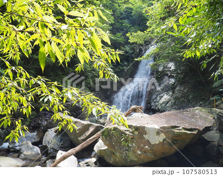 比地大滝の風景（沖縄県国頭郡国頭村・比地大滝）6 107580513