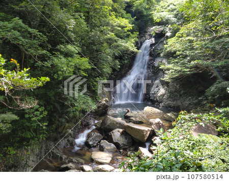 比地大滝の風景(沖縄県国頭郡国頭村・比地大滝)7 比地大滝の風景(沖縄県国頭郡国頭村・比地大滝)7 107580514