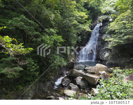 比地大滝の風景(沖縄県国頭郡国頭村・比地大滝)9 比地大滝の風景(沖縄県国頭郡国頭村・比地大滝)9 107580517