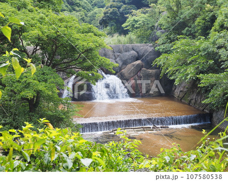 比地大滝トレッキングコースの風景(沖縄県国頭郡国頭村・比地大滝)12 比地大滝トレッキングコースの風景(沖縄県国頭郡国頭村・比地大滝)12 107580538