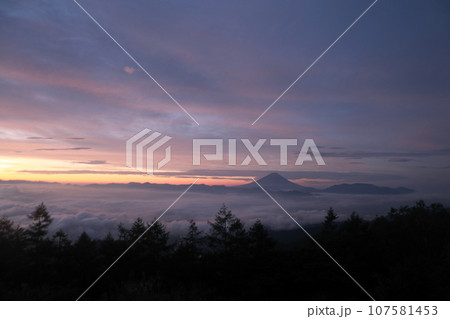 甘利山 絶景 朝日 富士山 甘利山 絶景 朝日 富士山 107581453