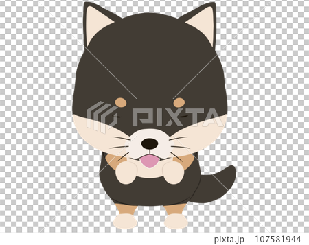 お辞儀をする黒柴 107581944