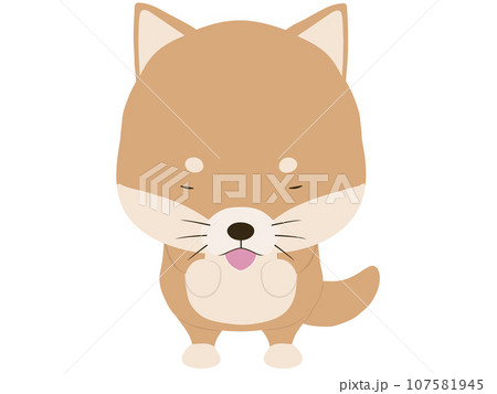 お辞儀をする柴犬 107581945