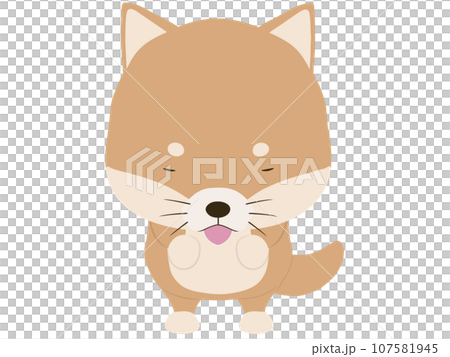 お辞儀をする柴犬 107581945