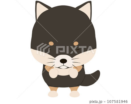 お辞儀をする黒柴 お辞儀をする黒柴 107581946