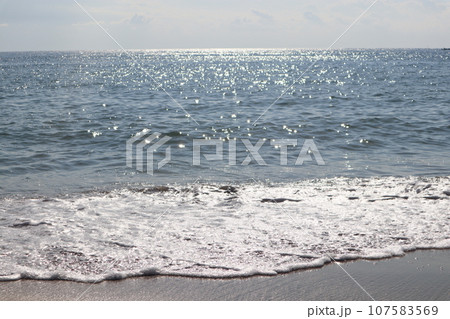 知多 南知多 美浜町 流下式枝条架塩田 海水浴 観光地 海 開眼 知多 南知多 美浜町 流下式枝条架塩田 海水浴 観光地 海 開眼 107583569