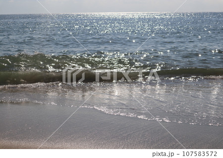 知多　南知多　美浜町　流下式枝条架塩田　海水浴　観光地　海　開眼 107583572